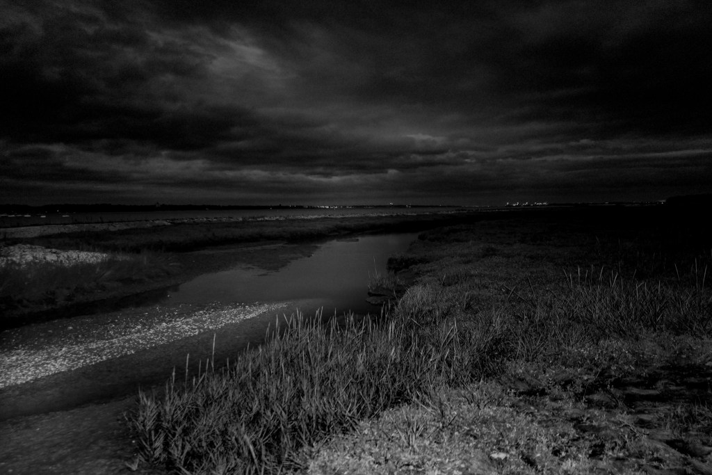My memory lingers on the edge of a forest-26
