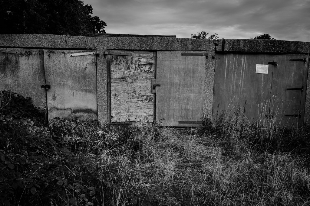 My memory lingers on the edge of a forest-26